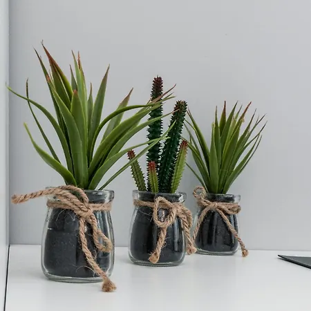 Appartement Nasypowa With Parking By Renters Gdynia