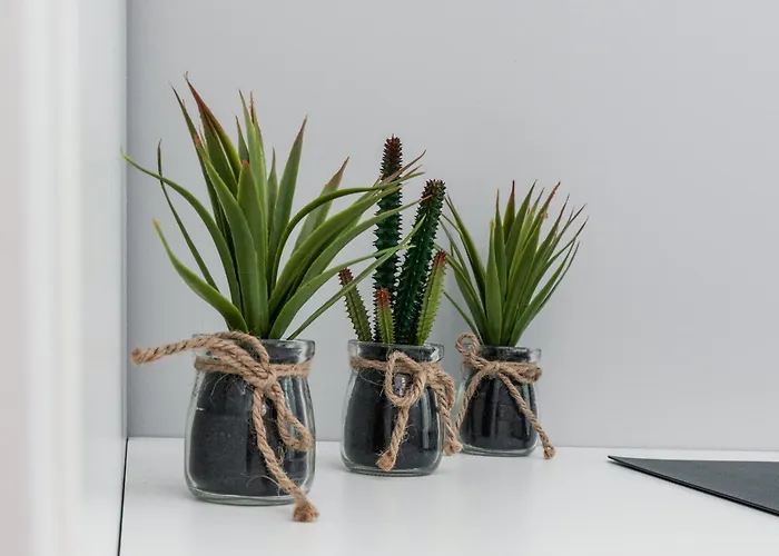 Lägenhet Nasypowa With Parking By Renters Gdynia